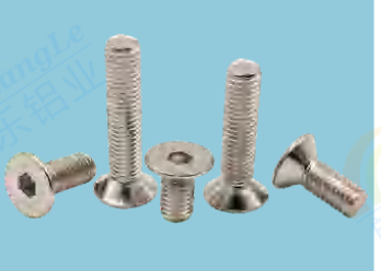 [LE-YZS-M8*40] Socket head screw M8x40